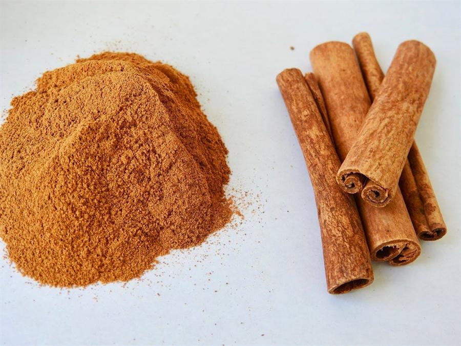Cinnamon sticks on a light background