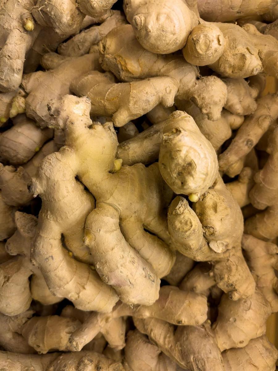 Ginger root on a light background