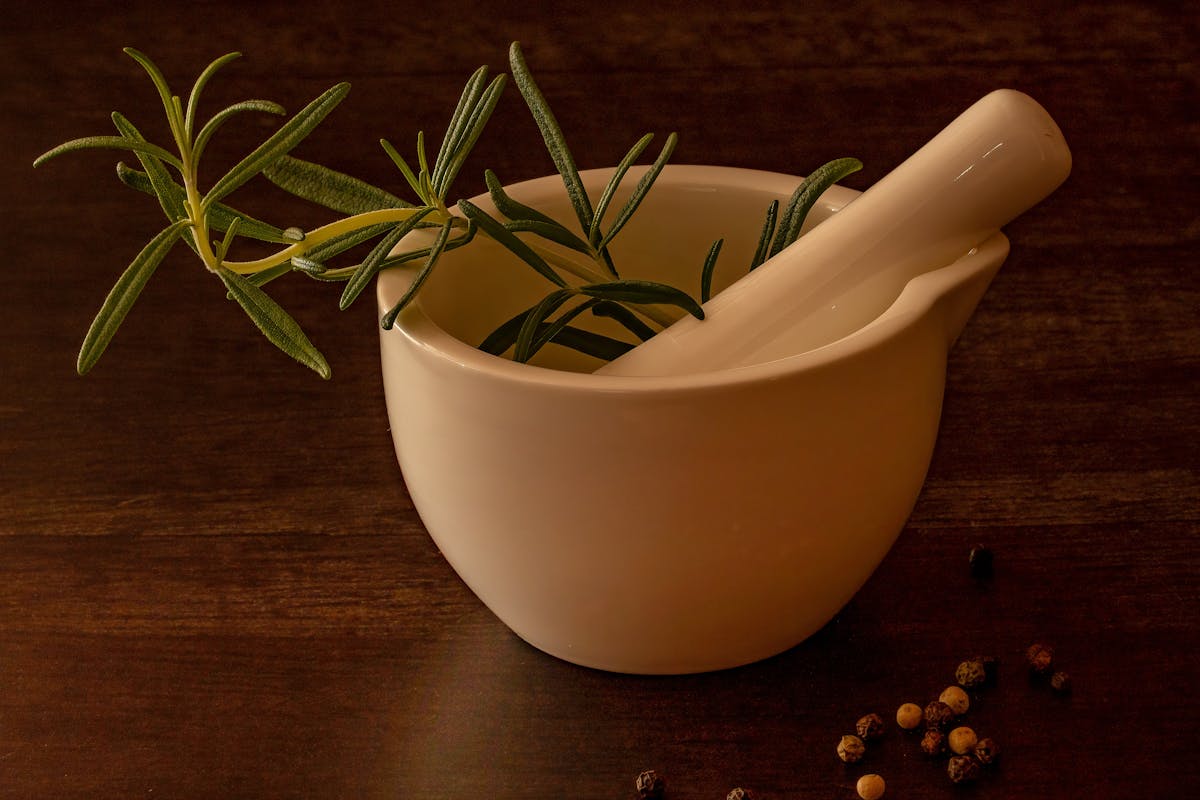 Rosemary sprigs on a light background