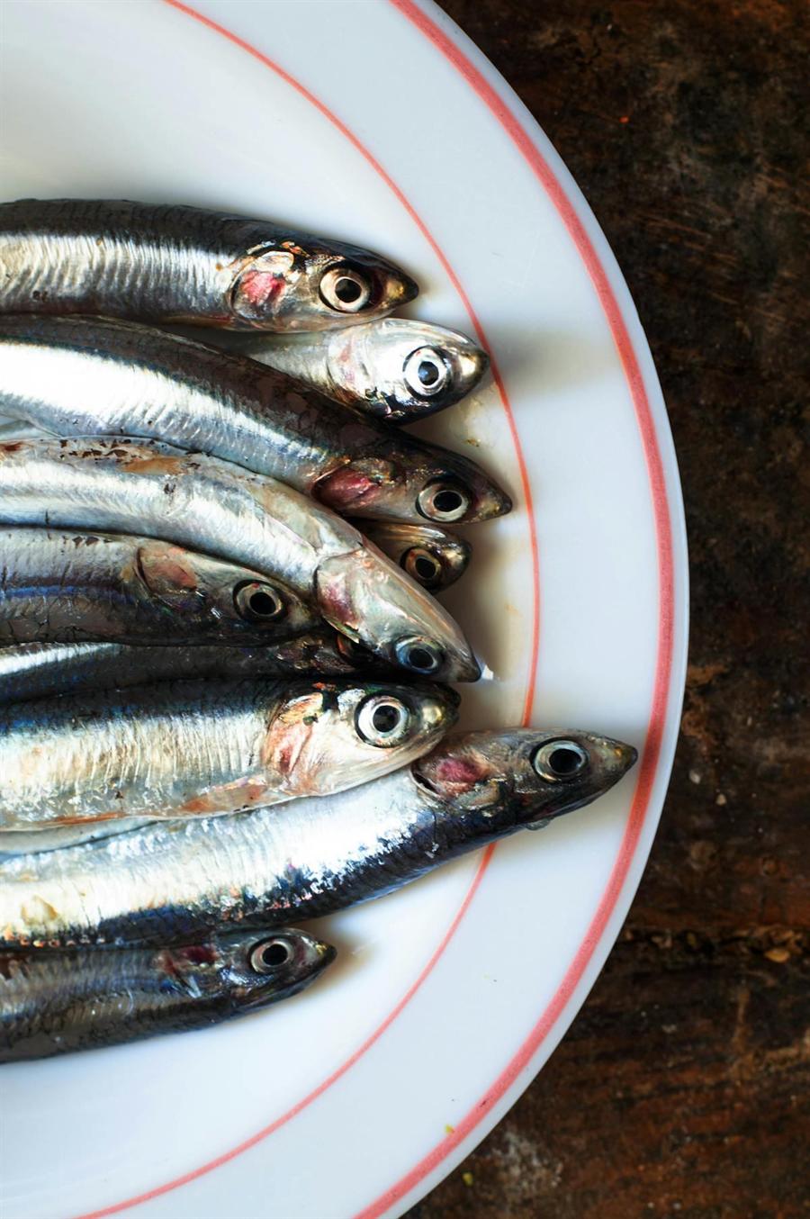 Sardines on a plate